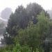 chuva