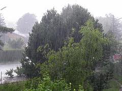 Chove em 54 municípios cearenses
