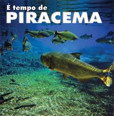 Começa o período de defeso dos peixes no Ceará