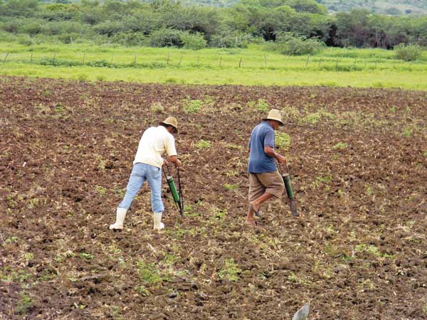 Veranico diminui chuvas no Ceará