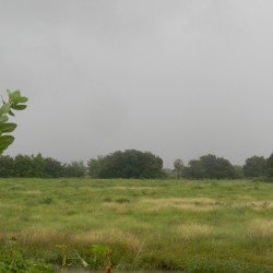 Funceme registrou chuva em 49 cidades