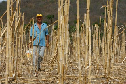 Quadro de estiagem no Cariri preocupa agricultores e governo