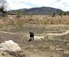 Governadores do Nordeste discutirão impactos da seca