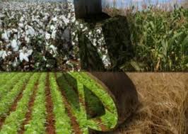 Agricultores familiares afetados pela seca podem ter acesso a nova linha de crédito