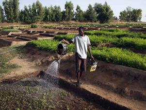 Dia Mundial da Água: aumento da demanda e contaminação preocupam