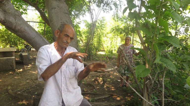 Agricultor do Cariri é homenageado com medalha ambientalista por criar sistema sustentável